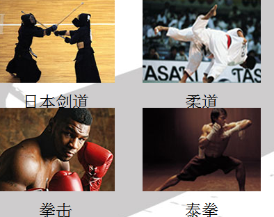 西安拳道培训学校